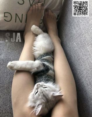 迪拜的女孩在线观看_BD国语电视剧在线观看