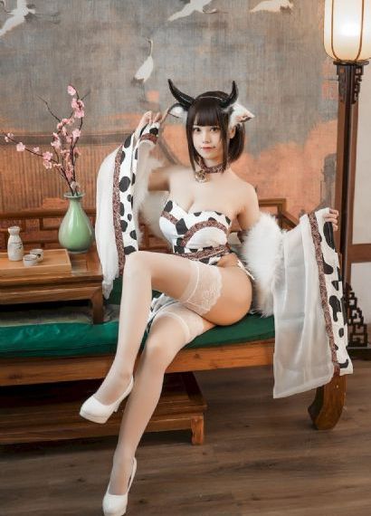 电视剧我叫赵甲第_HD在线视频观看