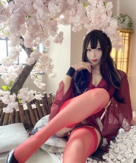 机智的_高清免费观看电视剧
